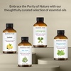 image:imageMajestic Pure Tea Tree Essential Oil for Diffuser  4 Fl OzEucalyptus