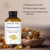 image:imageMajestic Pure Tea Tree Essential Oil for Diffuser  4 Fl OzFrankincense