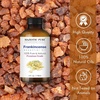 image:imageMajestic Pure Tea Tree Essential Oil for Diffuser  4 Fl OzFrankincense