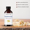image:imageMajestic Pure Tea Tree Essential Oil for Diffuser  4 Fl OzFrankincense