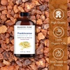 image:imageMajestic Pure Tea Tree Essential Oil for Diffuser  4 Fl OzFrankincense