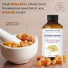 image:imageMajestic Pure Tea Tree Essential Oil for Diffuser  4 Fl OzFrankincense