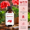 image:imageMajestic Pure Tea Tree Essential Oil for Diffuser  4 Fl OzGeranium