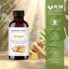 image:imageMajestic Pure Tea Tree Essential Oil for Diffuser  4 Fl OzGinger
