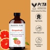 image:imageMajestic Pure Tea Tree Essential Oil for Diffuser  4 Fl OzGrapefruit