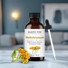 image:imageMajestic Pure Tea Tree Essential Oil for Diffuser  4 Fl OzHelichrysum