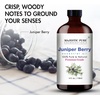 image:imageMajestic Pure Tea Tree Essential Oil for Diffuser  4 Fl OzJuniper
