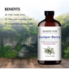 image:imageMajestic Pure Tea Tree Essential Oil for Diffuser  4 Fl OzJuniper