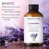 image:imageMajestic Pure Tea Tree Essential Oil for Diffuser  4 Fl OzLavender
