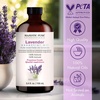 image:imageMajestic Pure Tea Tree Essential Oil for Diffuser  4 Fl OzLavender