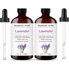image:imageMajestic Pure Tea Tree Essential Oil for Diffuser  4 Fl OzLavender