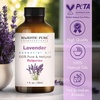 image:imageMajestic Pure Tea Tree Essential Oil for Diffuser  4 Fl OzLavender