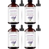 image:imageMajestic Pure Tea Tree Essential Oil for Diffuser  4 Fl OzLavender