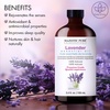 image:imageMajestic Pure Tea Tree Essential Oil for Diffuser  4 Fl OzLavender