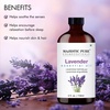 image:imageMajestic Pure Tea Tree Essential Oil for Diffuser  4 Fl OzLavender