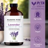 image:imageMajestic Pure Tea Tree Essential Oil for Diffuser  4 Fl OzLavender