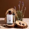 image:imageMajestic Pure Tea Tree Essential Oil for Diffuser  4 Fl OzLavender