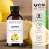image:imageMajestic Pure Tea Tree Essential Oil for Diffuser  4 Fl OzLemon