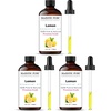 image:imageMajestic Pure Tea Tree Essential Oil for Diffuser  4 Fl OzLemon