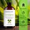 image:imageMajestic Pure Tea Tree Essential Oil for Diffuser  4 Fl OzLemongrass