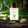 image:imageMajestic Pure Tea Tree Essential Oil for Diffuser  4 Fl OzLemongrass