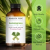 image:imageMajestic Pure Tea Tree Essential Oil for Diffuser  4 Fl OzLemongrass