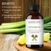 image:imageMajestic Pure Tea Tree Essential Oil for Diffuser  4 Fl OzLemongrass