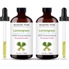 image:imageMajestic Pure Tea Tree Essential Oil for Diffuser  4 Fl OzLemongrass