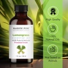 image:imageMajestic Pure Tea Tree Essential Oil for Diffuser  4 Fl OzLemongrass