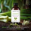 image:imageMajestic Pure Tea Tree Essential Oil for Diffuser  4 Fl OzLemongrass