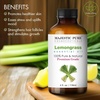 image:imageMajestic Pure Tea Tree Essential Oil for Diffuser  4 Fl OzLemongrass