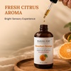 image:imageMajestic Pure Tea Tree Essential Oil for Diffuser  4 Fl OzOrange