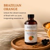image:imageMajestic Pure Tea Tree Essential Oil for Diffuser  4 Fl OzOrange