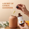 image:imageMajestic Pure Tea Tree Essential Oil for Diffuser  4 Fl OzOrange