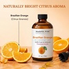 image:imageMajestic Pure Tea Tree Essential Oil for Diffuser  4 Fl OzOrange