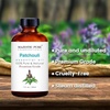 image:imageMajestic Pure Tea Tree Essential Oil for Diffuser  4 Fl OzPatchouli