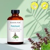 image:imageMajestic Pure Tea Tree Essential Oil for Diffuser  4 Fl OzPatchouli