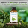 image:imageMajestic Pure Tea Tree Essential Oil for Diffuser  4 Fl OzPeppermint