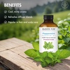 image:imageMajestic Pure Tea Tree Essential Oil for Diffuser  4 Fl OzPeppermint