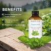 image:imageMajestic Pure Tea Tree Essential Oil for Diffuser  4 Fl OzPeppermint