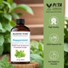 image:imageMajestic Pure Tea Tree Essential Oil for Diffuser  4 Fl OzPeppermint