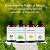 image:imageMajestic Pure Tea Tree Essential Oil for Diffuser  4 Fl OzPeppermint