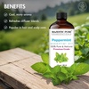 image:imageMajestic Pure Tea Tree Essential Oil for Diffuser  4 Fl OzPeppermint