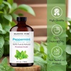 image:imageMajestic Pure Tea Tree Essential Oil for Diffuser  4 Fl OzPeppermint