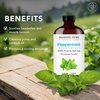 image:imageMajestic Pure Tea Tree Essential Oil for Diffuser  4 Fl OzPeppermint
