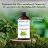 image:imageMajestic Pure Tea Tree Essential Oil for Diffuser  4 Fl OzPeppermint