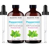 image:imageMajestic Pure Tea Tree Essential Oil for Diffuser  4 Fl OzPeppermint