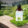 image:imageMajestic Pure Tea Tree Essential Oil for Diffuser  4 Fl OzPeppermint