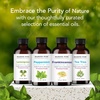 image:imageMajestic Pure Tea Tree Essential Oil for Diffuser  4 Fl OzPeppermint