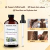 image:imageMajestic Pure Tea Tree Essential Oil for Diffuser  4 Fl OzRosemary